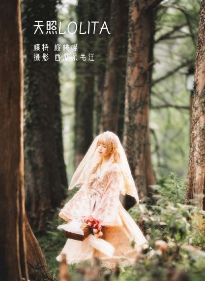 手机精品视频在线观看视频_超清高清免费观看