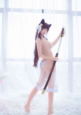 欧美雪纺比基尼罩衫_蓝光在线观看完整版